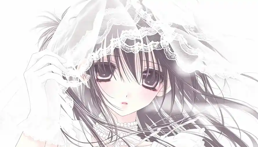 2k古早壁纸-大眼 - 头纱-婚纱「哲风壁纸」