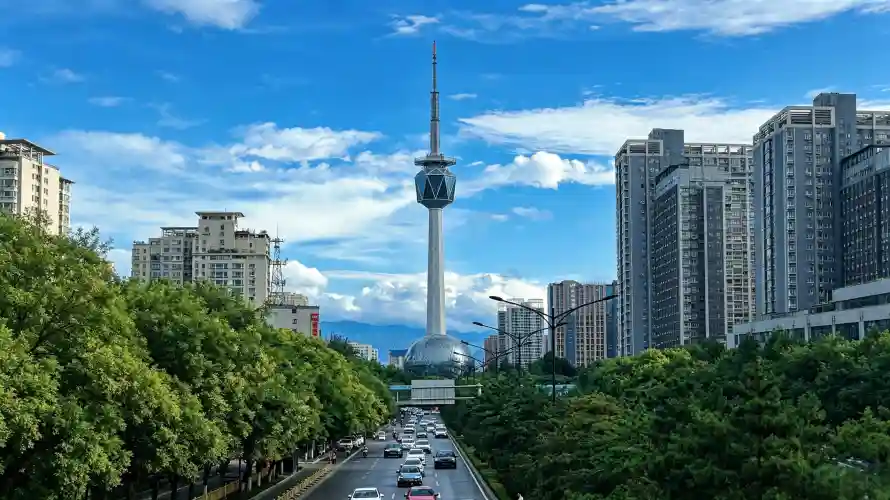 3k城市壁纸-壁纸 - 树木-汽车「哲风壁纸」