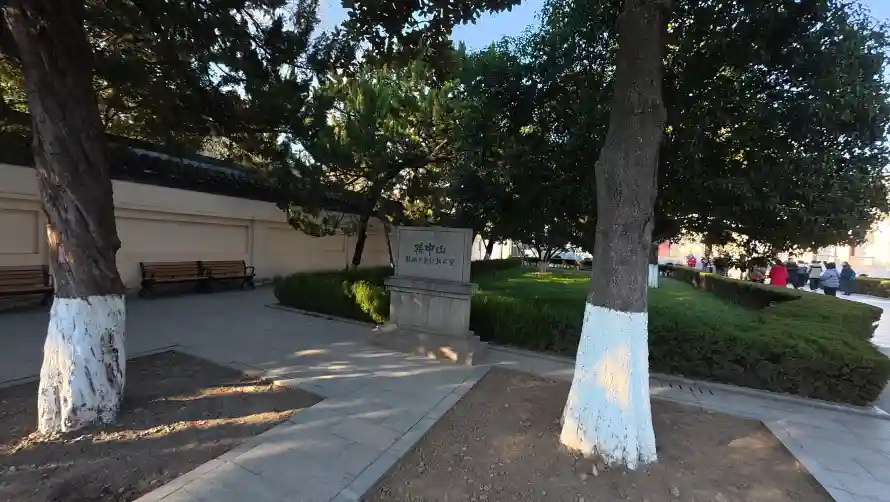 4k休闲壁纸-公园 - 大树-步道「哲风壁纸」
