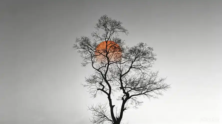 3k剪影壁纸-壁纸 - 天空-极简「哲风壁纸」