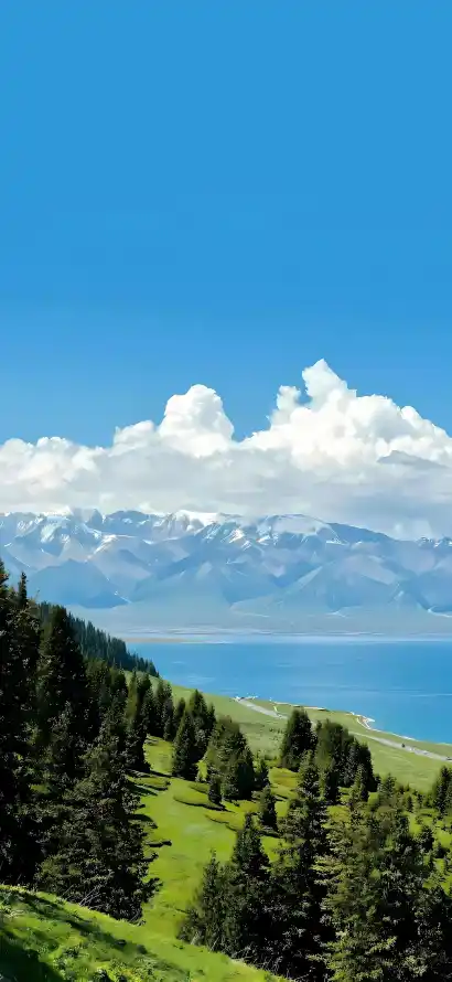 4k山脉壁纸 - 晴空 - 树林 - 湖泊「哲风壁纸」
