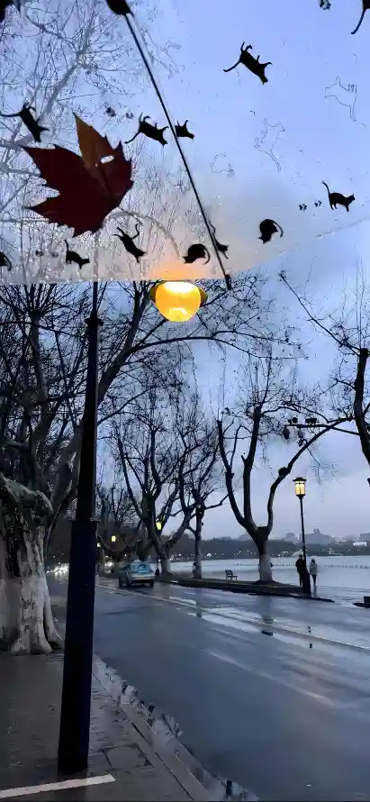4k傍晚壁纸 - 枫叶 - 枯树 - 湖水「哲风壁纸」