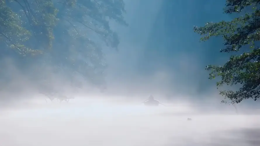 4k云雾壁纸-天空 - 山林-峡谷「哲风壁纸」