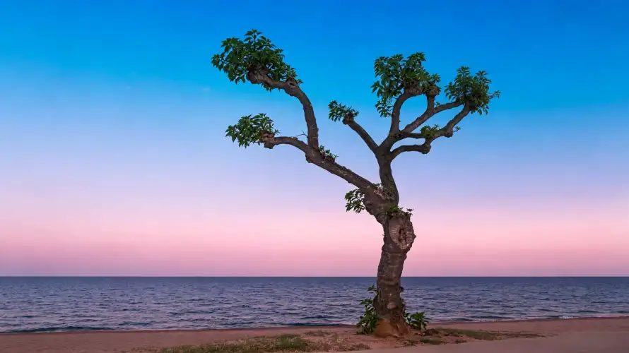 3k壁纸壁纸-沙滩 - 海岸-海景「哲风壁纸」