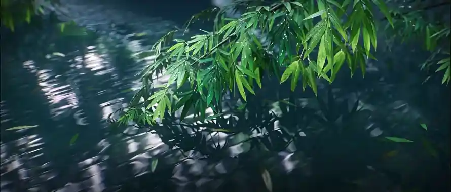 4k光影壁纸-光斑 - 树荫-水波「哲风壁纸」