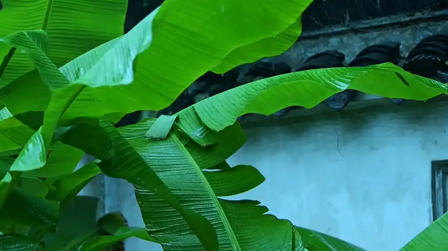 4k屋檐壁纸-庭院 - 愁绪-江南「哲风壁纸」