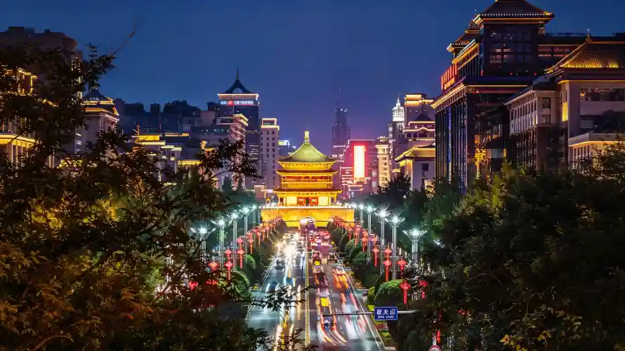 3k城市壁纸-壁纸 - 夜景-树木「哲风壁纸」