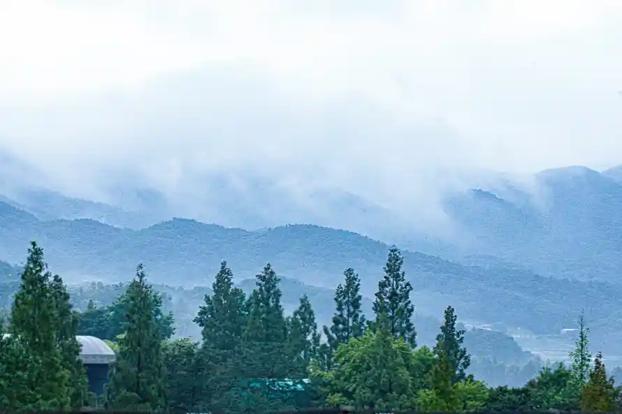 6k云雾壁纸-山景 - 山脉-杉木「哲风壁纸」