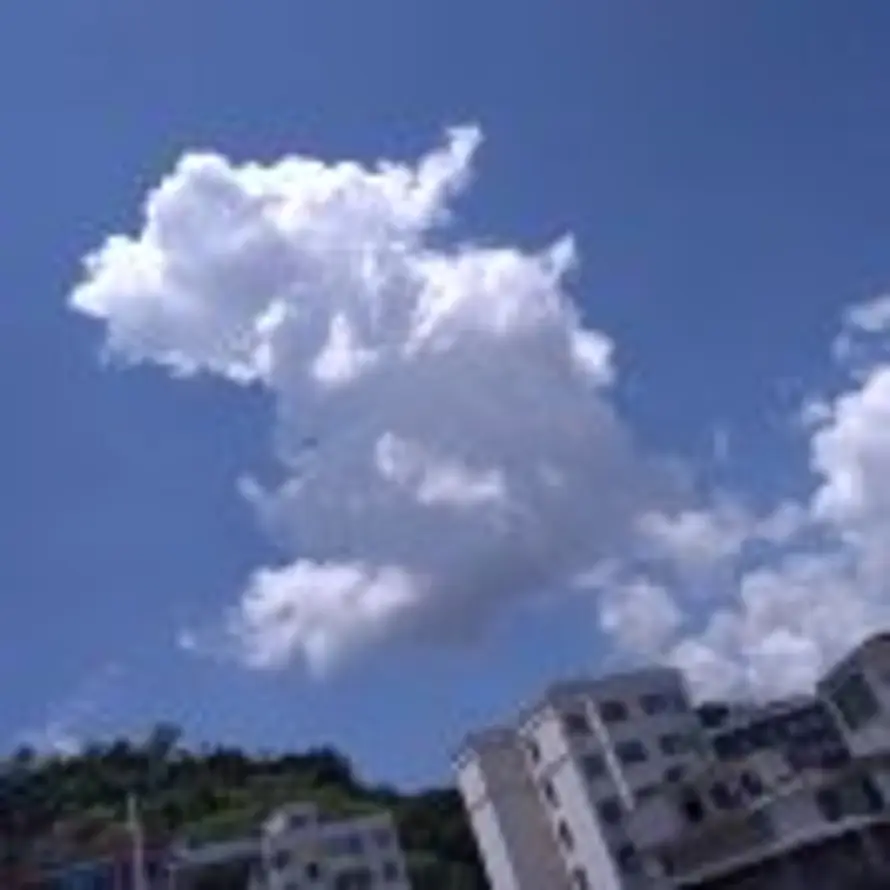 h的头像