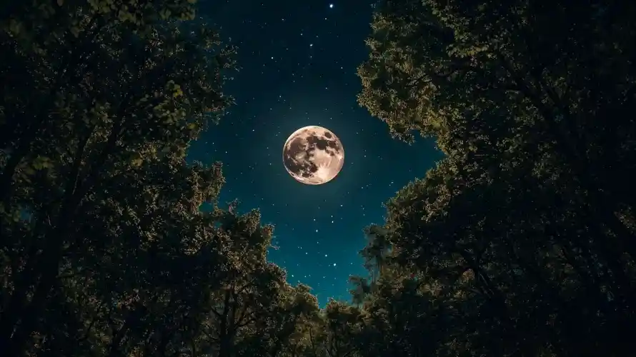 3k图片壁纸-夜晚 - 夜空-好看「哲风壁纸」
