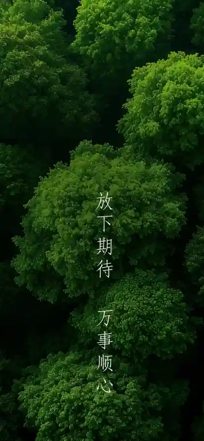 4k励志壁纸 - 文字 - 树木 - 森林「哲风壁纸」