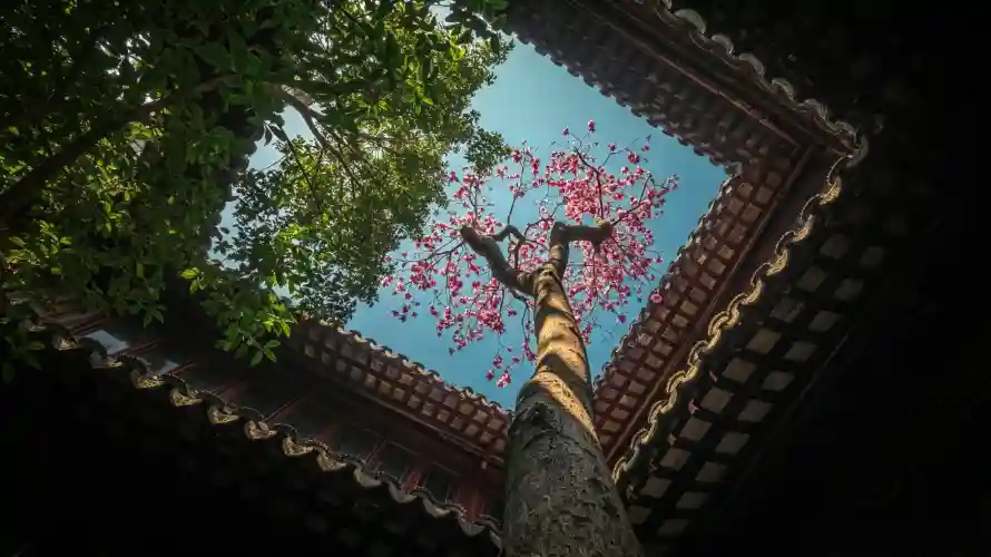 3k仰拍壁纸-图片 - 天井-好看「哲风壁纸」