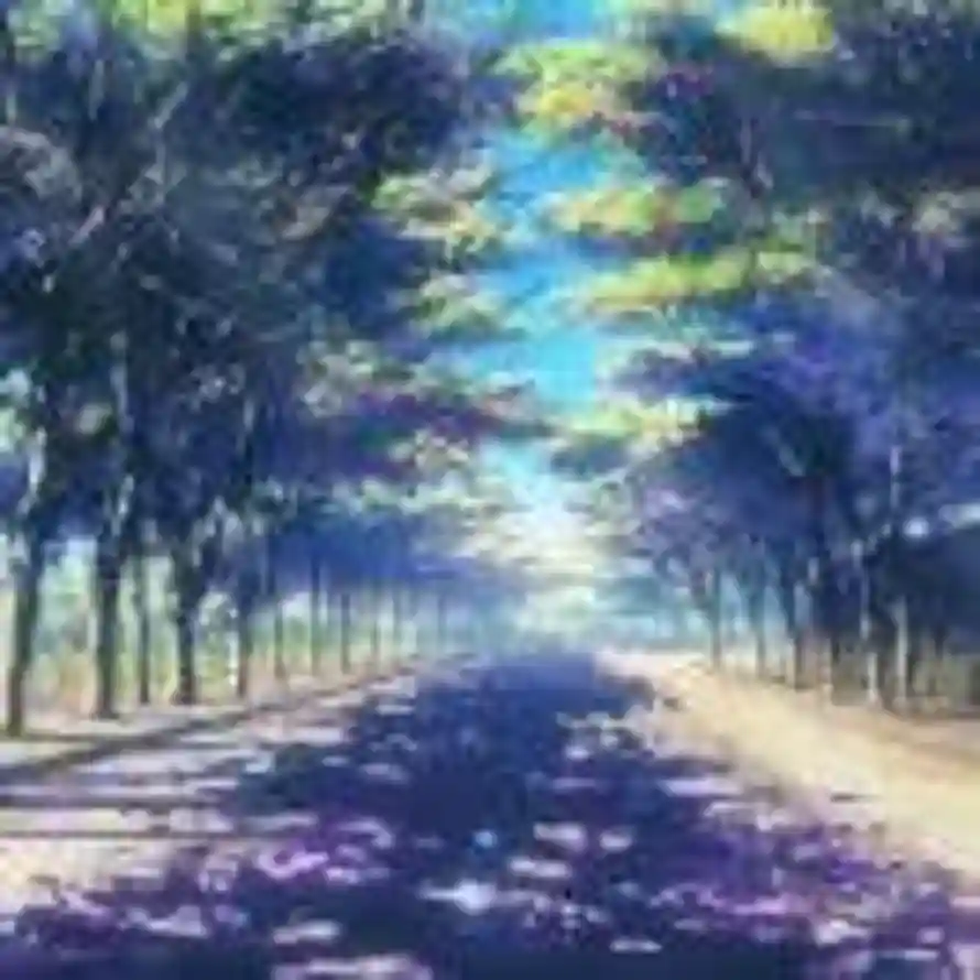 烟岚的头像