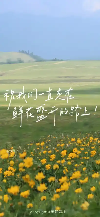 4k开阔壁纸 - 户外 - 绿意 - 草地「哲风壁纸」
