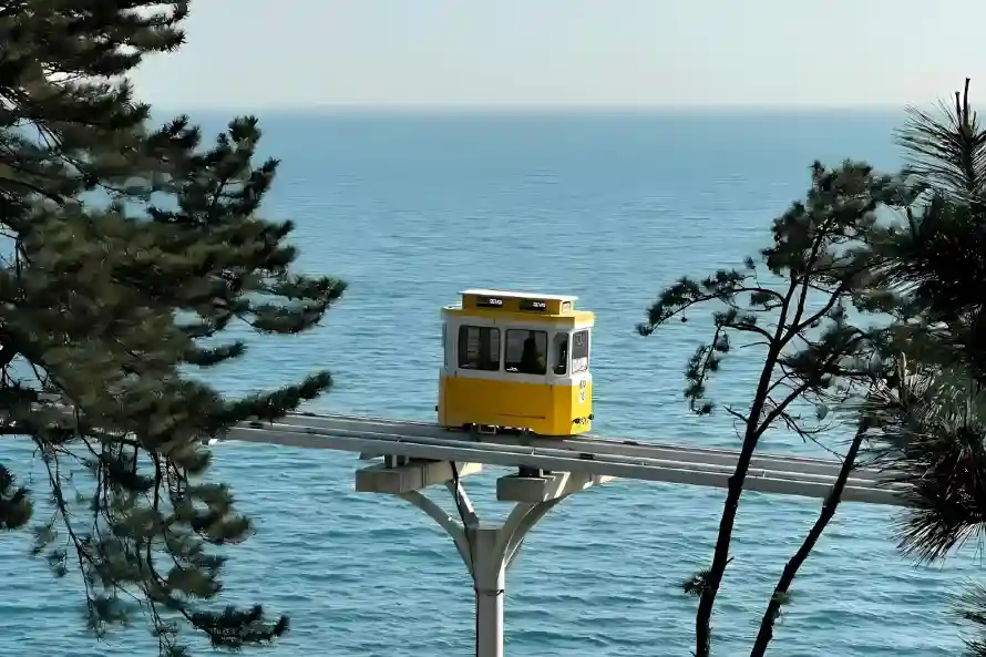 2k大海壁纸-松树 - 海岸-海滨「哲风壁纸」