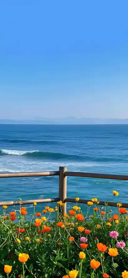 4k大海壁纸 - 晴天 - 海岸 - 海浪「哲风壁纸」