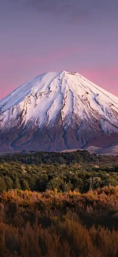 4k晚霞壁纸 - 森林 - 火山 - 草地「哲风壁纸」