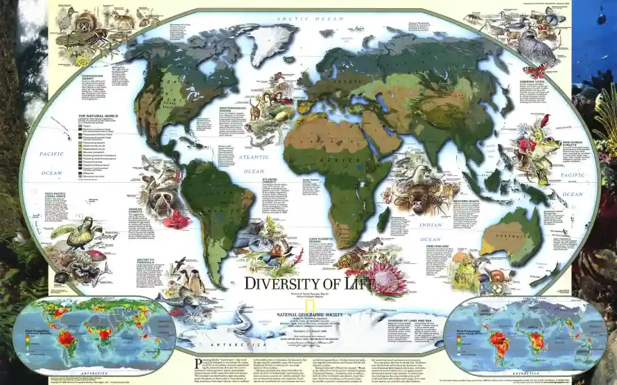 2k世界壁纸-地图 - 地球-地理「哲风壁纸」