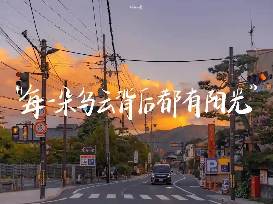 3k晚霞壁纸-树木 - 汽车-治愈「哲风壁纸」