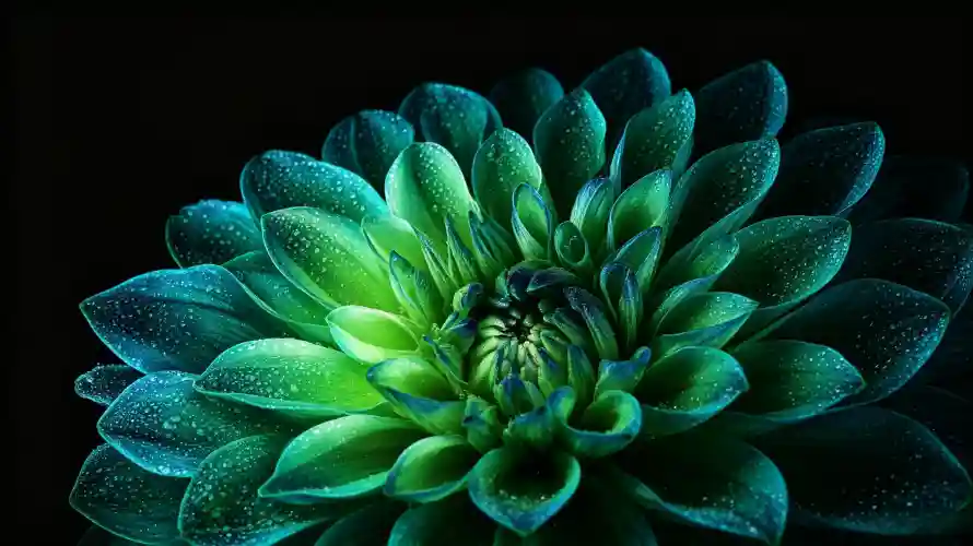 3k图片壁纸-好看 - 暗调-植物「哲风壁纸」