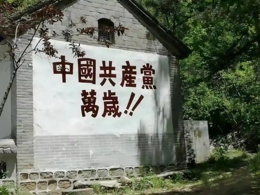 7k户外壁纸-树林 - 爱国-绿植「哲风壁纸」