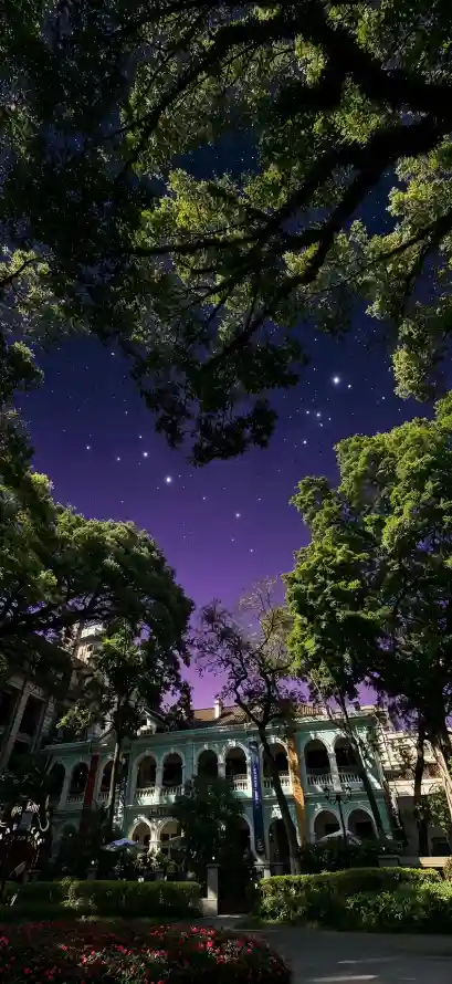4k公园壁纸 - 夜晚 - 夜空 - 小径「哲风壁纸」