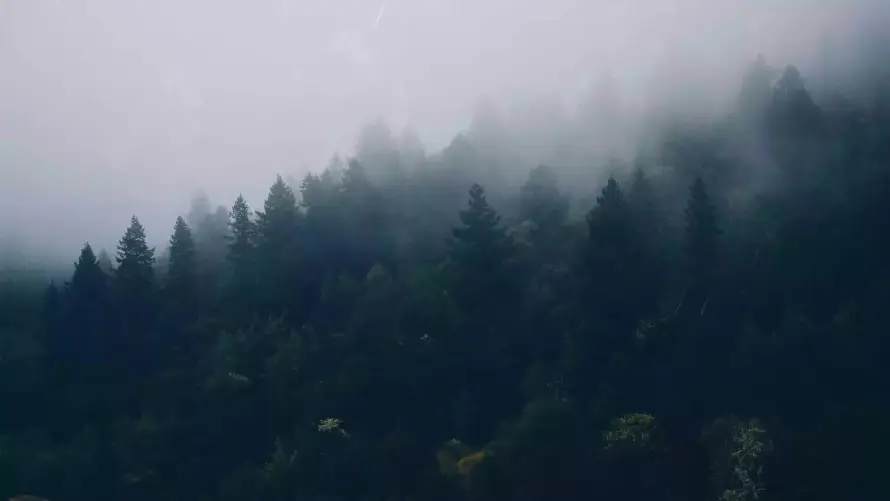 4k云雾壁纸-山 - 山林-山野「哲风壁纸」