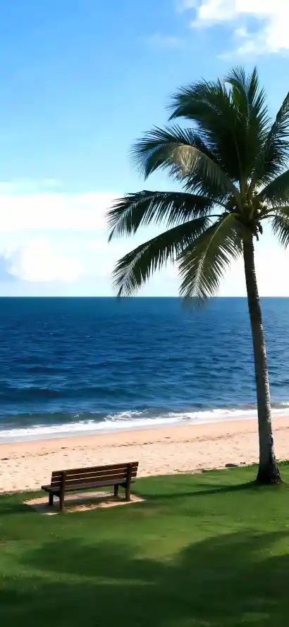 4k大海壁纸 - 晴天 - 沙滩 - 海滨「哲风壁纸」