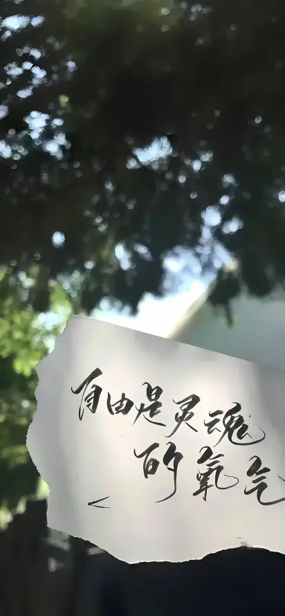 4k光斑壁纸 - 励志 - 手写 - 文字「哲风壁纸」