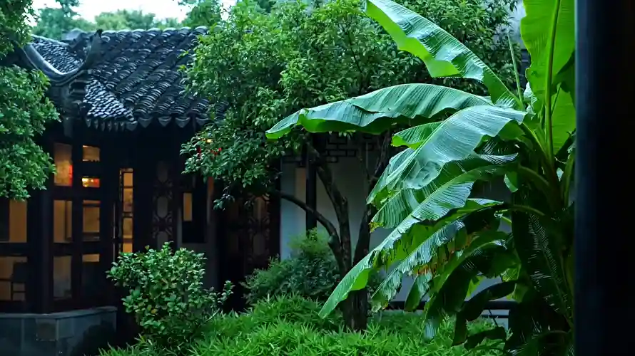 4k古宅壁纸 - 庭院 - 树叶 - 树荫「哲风壁纸」 4k古宅壁纸 - 庭院 - 树叶 - 树荫「哲风壁纸」