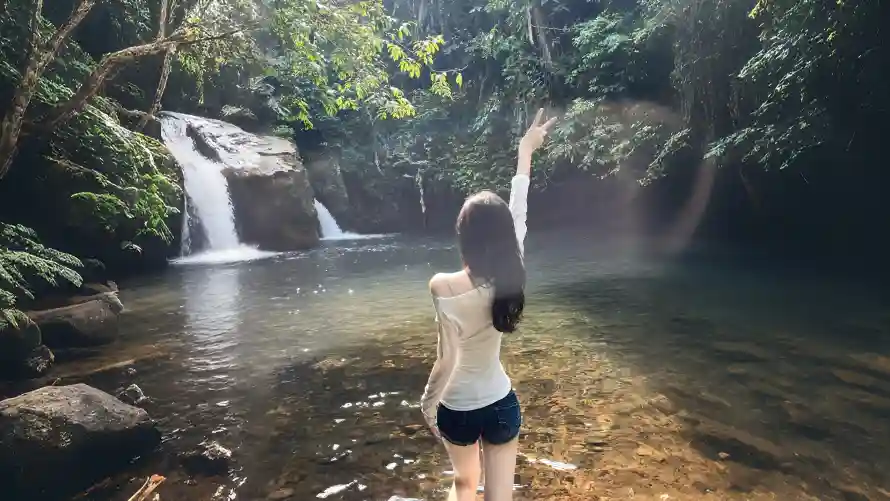 5k户外壁纸-森林 - 水潭-溪流「哲风壁纸」