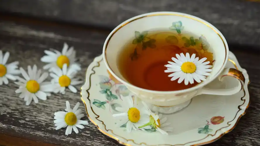 4k治愈壁纸-清新 - 美味-花茶「哲风壁纸」