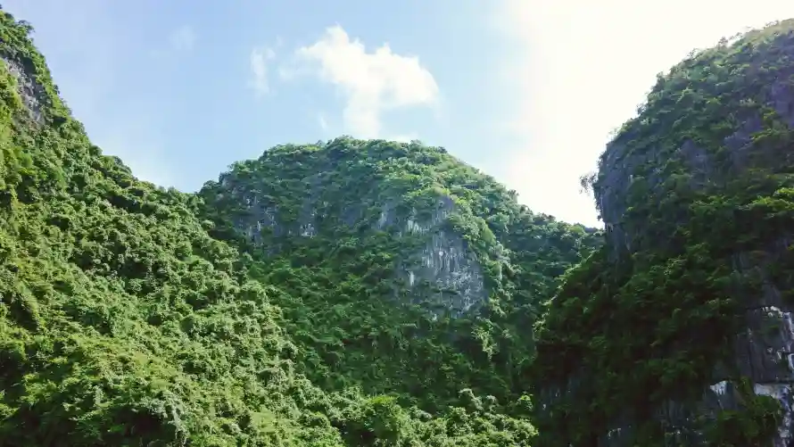4k山峰壁纸-山林 - 岩石-峡谷「哲风壁纸」