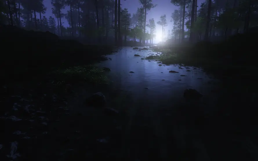 4k夜景壁纸-幽静 - 月光-树木「哲风壁纸」