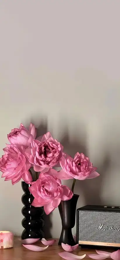 4k桌面壁纸 - 玫瑰 - 简约 - 粉色「哲风壁纸」