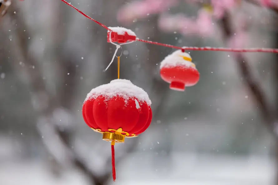 6k下雪壁纸-冬日 - 喜庆-挂饰「哲风壁纸」