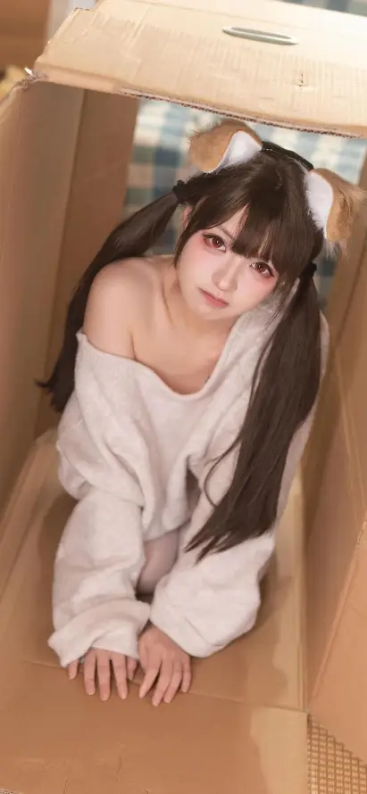 4k少女壁纸 - 居家 - 猫耳 - 纸箱「哲风壁纸」