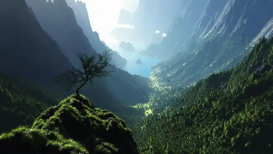 4k孤树壁纸 - 山林 - 山谷 - 峡谷「哲风壁纸」