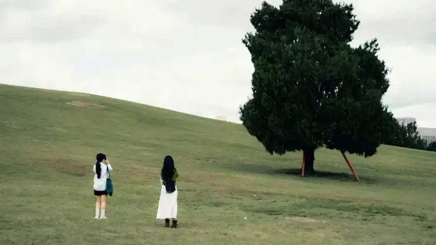 2k休闲壁纸-大树 - 孤树-少女「哲风壁纸」