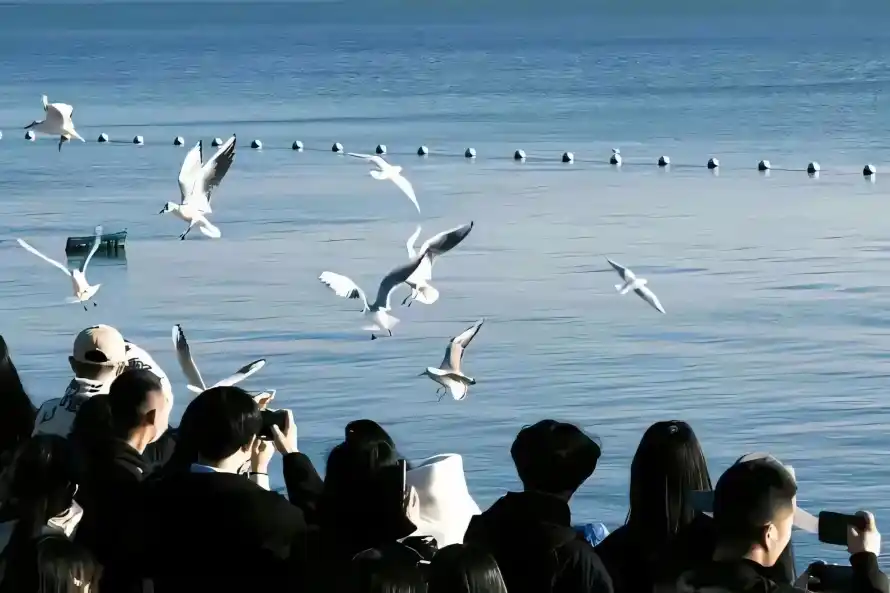 2k人群壁纸-户外 - 拍照-海边「哲风壁纸」
