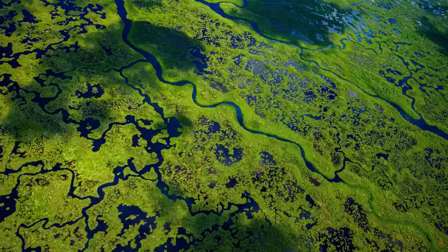 4k俯拍壁纸-植被 - 水域-湿地「哲风壁纸」