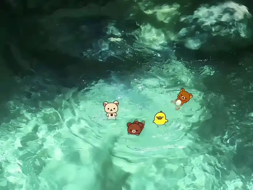 2kHH壁纸-卡通 - 棕熊-水面「哲风壁纸」