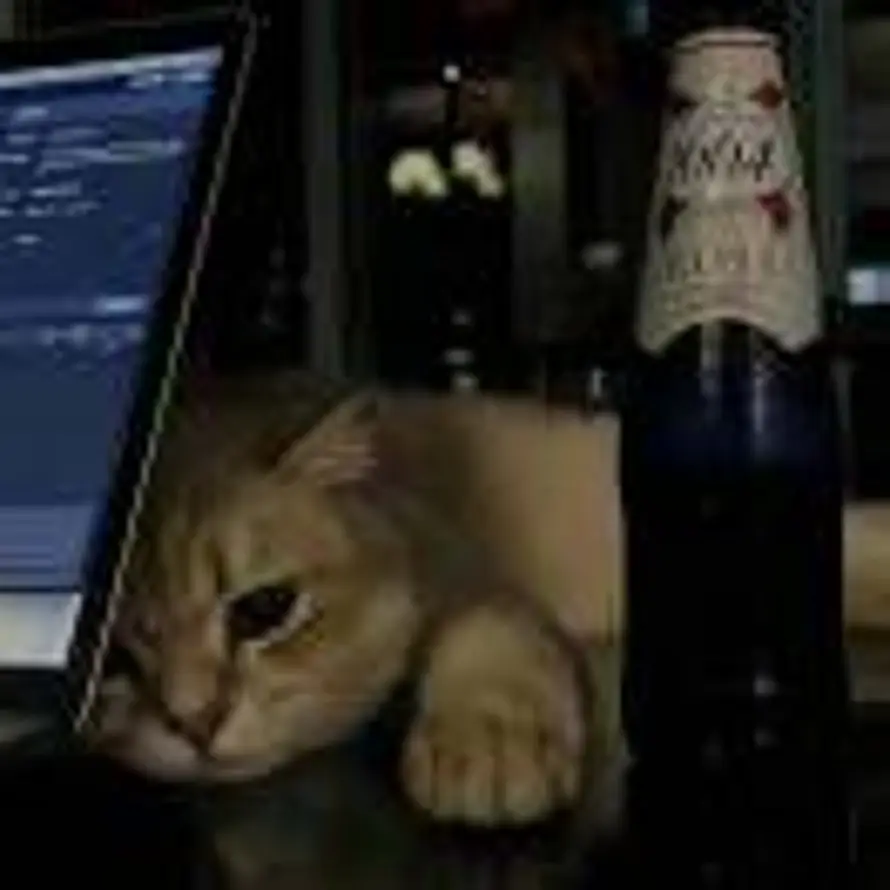 初秋🐾的头像