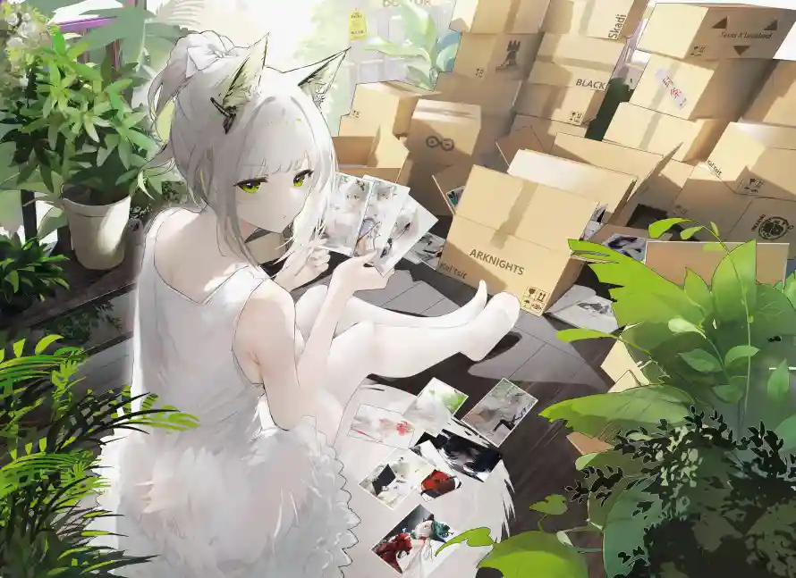 4k兽耳壁纸-动漫 - 室内-少女「哲风壁纸」