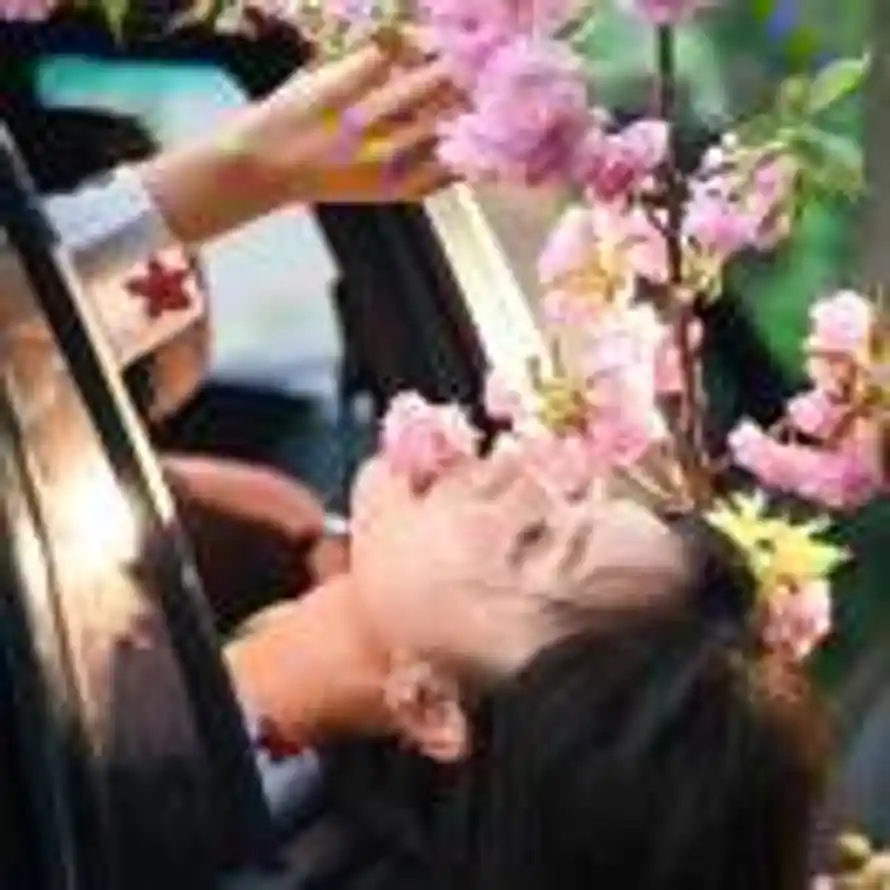 春花信🌸的用户头像 - 哲风壁纸