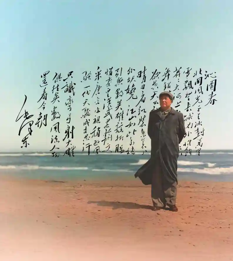 4k书法壁纸 - 伟人 - 大衣 - 沙滩「哲风壁纸」