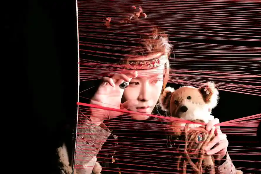 3k写真壁纸-小熊 - 时尚-明星「哲风壁纸」