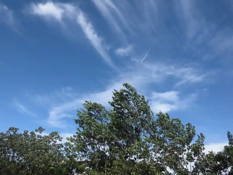 5k云层壁纸-天空 - 户外-晴天「哲风壁纸」