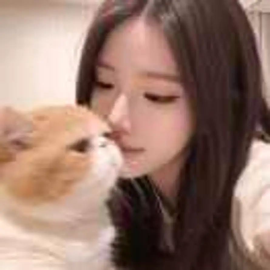 多睡会儿※的头像