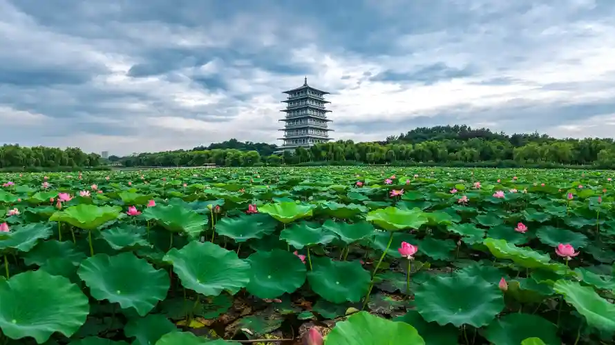 3k古塔壁纸-夏日 - 天空-树林「哲风壁纸」